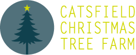 Catsfield Christmas Tree Farm