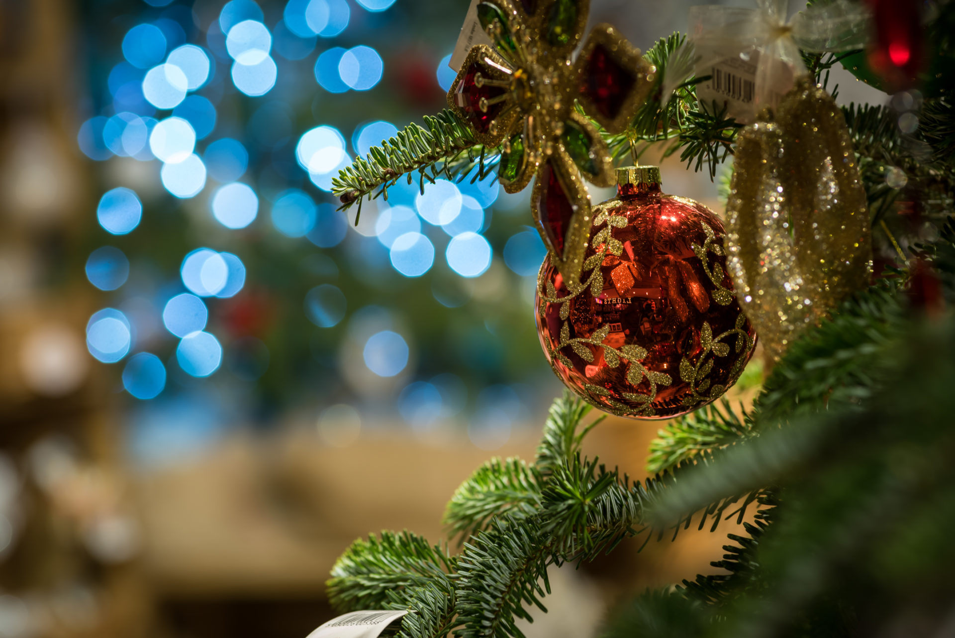 181116_Catsfield_Tree_30th-4