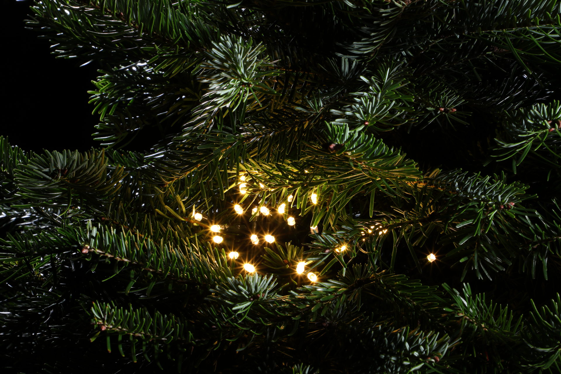 Globe Christmas Lights At | peacecommission.kdsg.gov.ng