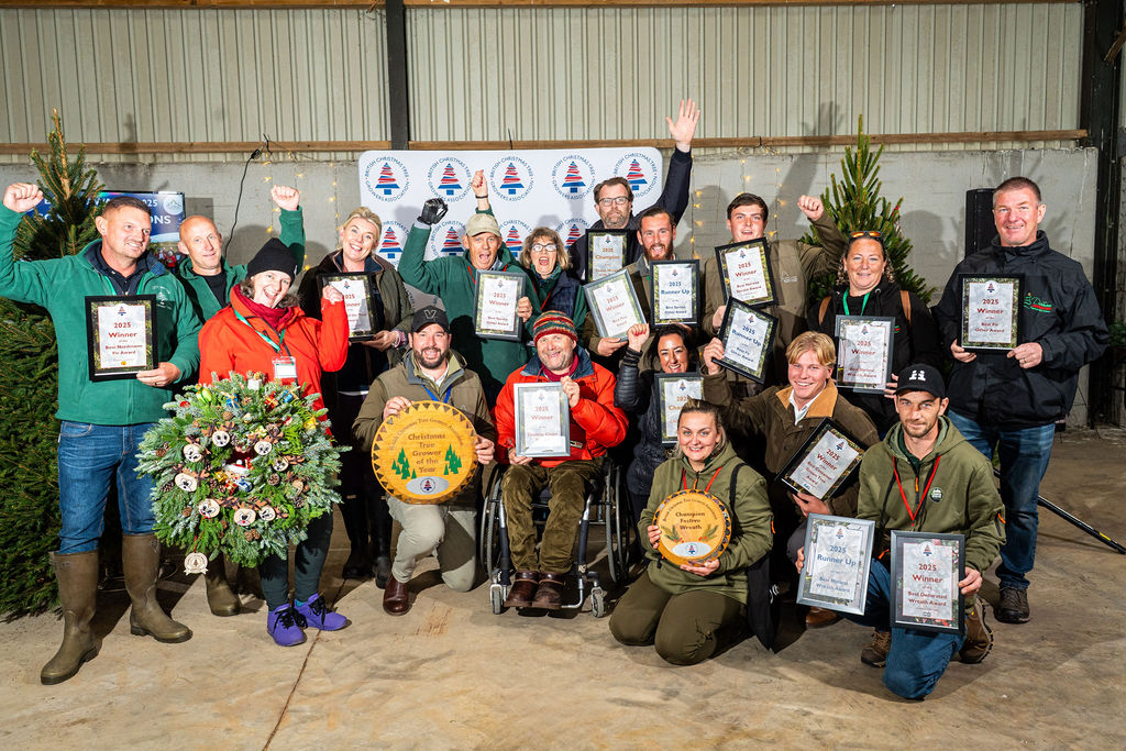 BCTGA Celebrity Choice Best Wreath 2024 & 2025!